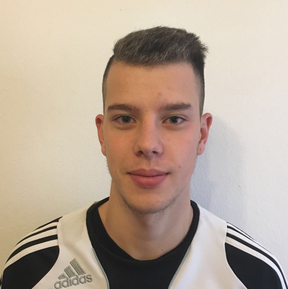 Portrait von Daniel Schmiedel